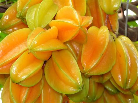 carambola, fruta do Brasil | Frutas, Frutas e vegetais, Alimentação ...