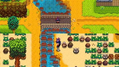 Best Places for Crab Pot Farming in Stardew Valley