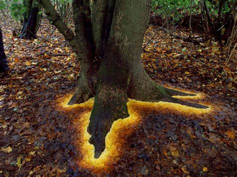 Andy Goldsworthy Fall Leaves | Moss and Fog