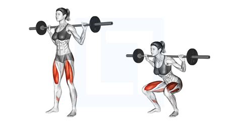 Barbell Squat - Guide, Benefits, and Form