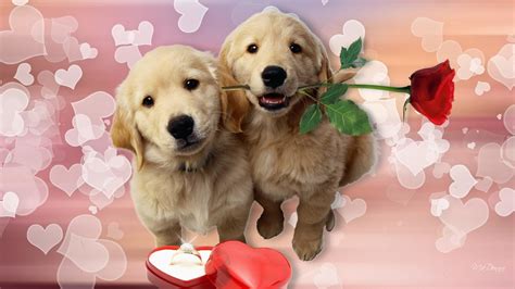 Puppy Valentine Wallpaper (56+ images)