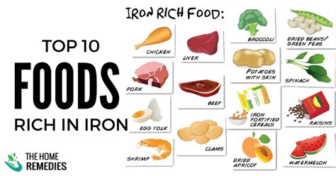 Iron Rich Foods For Vegetarians by careeerick on DeviantArt