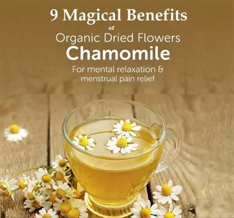 9 Magical Benefits Of Chamomile Tea, History, Nutritional Value & Side Effects