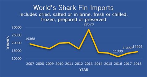 Implications and trends of the shark industry | Ecological Footprint Initiative