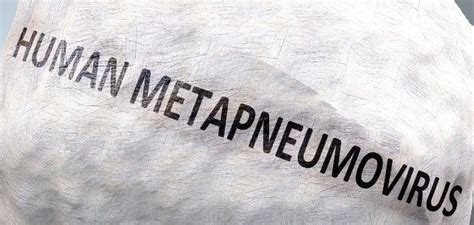 Human Metapneumovirus: What Is it and What Is Being Done About It?