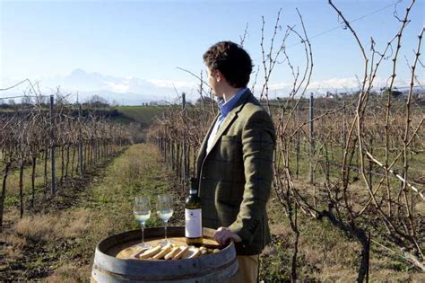 Abruzzo: Historic Cellar Wine Tour and Tasting | GetYourGuide