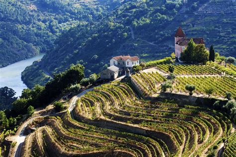 The Top 12 Things to Do in the Douro Valley