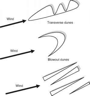 4 Types Of Sand Dunes - Environmental Science - Brian Williams