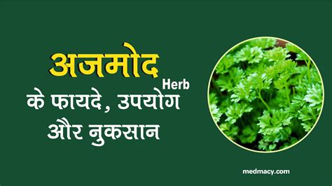 Parsley in Hindi | अजमोद के उपयोग फायदे और नुकसान