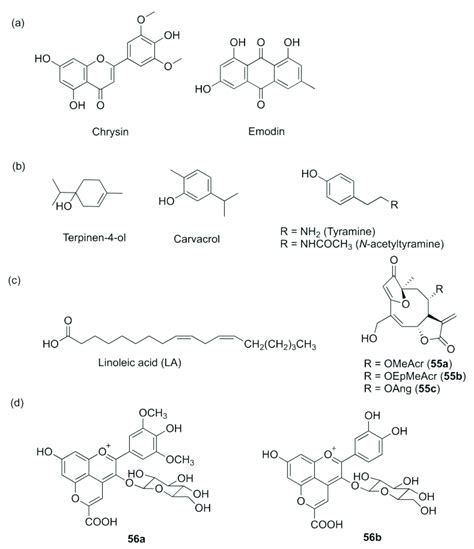 QS inhibitors from natural sources with undetermined working... | Download Scientific Diagram