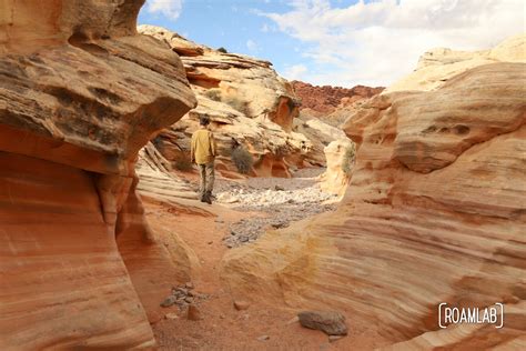 White Domes Trail - Valley of Fire State Park — Roam Lab