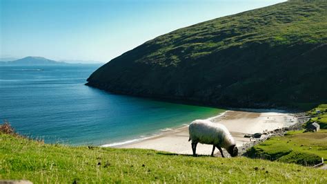 Achill Island: Willkommen auf Irlands größter Insel