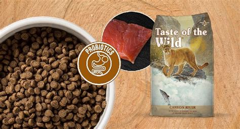 5 Taste of the Wild Cat Food Reviews (for 2023)