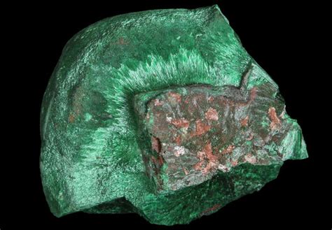 1.3" Fibrous Malachite Formation - Congo (#67453) For Sale - FossilEra.com