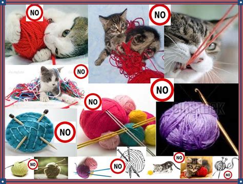 Quintessential Images and Realities Visited: Cats & Yarn and Needles ...