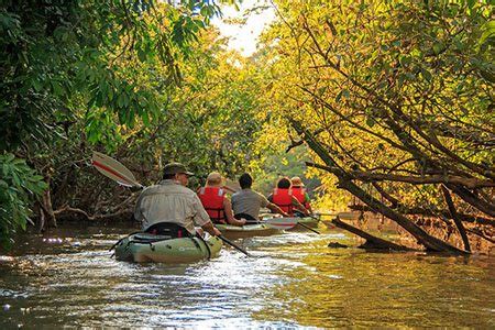 Best Luxury Amazon Rainforest trips in Ecuador - Lodges, Cruises, Camping!