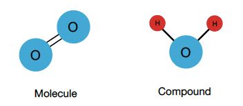 Molecule vs. Compound — Definition & Comparison - Expii