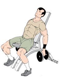 Incline Dumbbell Curls Exercise to build bigger biceps