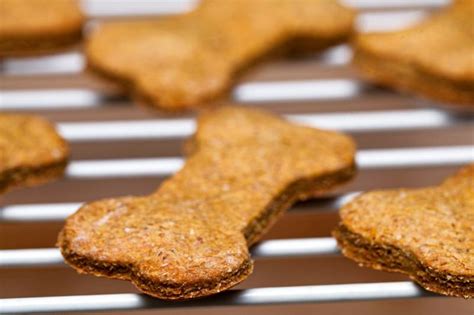 15 Homemade Low Fat Dog Treats For National Pet Day