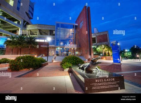 University of Florida campus Ben Hill Griffin Stadium and Heavener ...