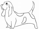 Basset Hound 2 sketch template