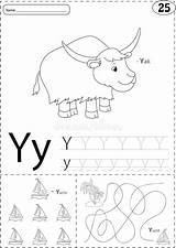 Yak Coloring Sheet Stock Illustrations – 60  sketch template