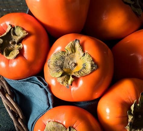 Fuyu Persimmon | Calloway's Nursery