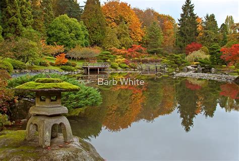 "Japanese Gardens, Washington Park Arboretum" by Barb White | Redbubble