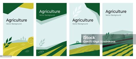 Set Of Agriculture Vector Backgrounds Stock Illustration - Download ...