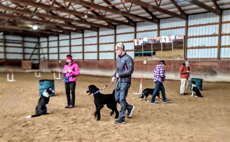 Dog Agility Classes Idaho | Dog Training Classes Boise