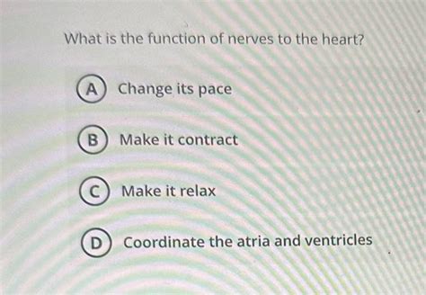 Solved What is the function of pericardial fluid? To allow | Chegg.com