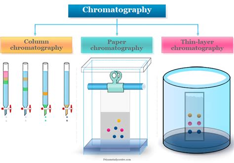 🌈 Chromatography examples. Chromatography. 2022-10-28