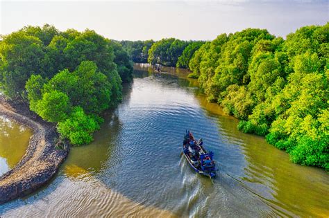 Selain untuk Wisata, ini Manfaat Penting Hutan Mangrove untuk ...