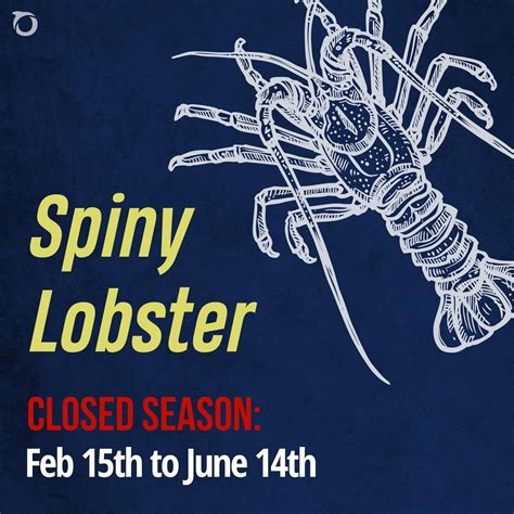 Staying Sustainable with Seafood: Lobster Season in Belize Closes Feb 15