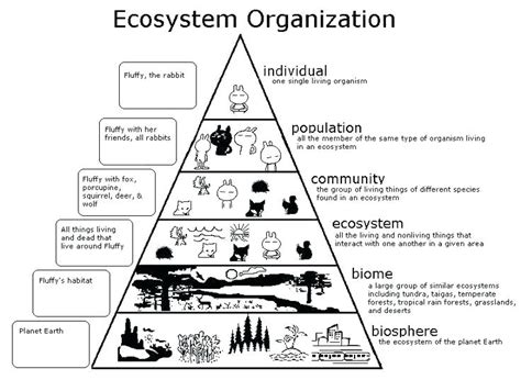 Unit: Climate and Ecosystem Dynamics - Campbell Collegiate SCIENCE ...