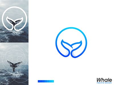 Whale Logo by Flashlogo Studio on Dribbble