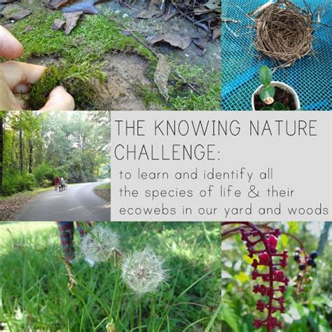 the knowing nature challenge | Challenges, Nature, Nature study