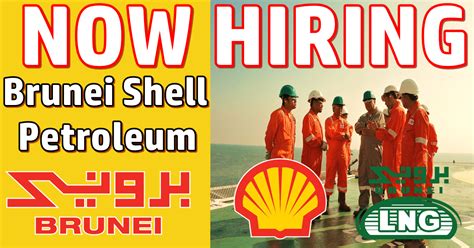 Brunei Shell Petroleum Jobs 2024 | BSP Careers