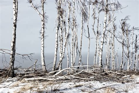 Winter Poland Mountains - Free photo on Pixabay - Pixabay