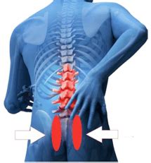 Understanding Sacroiliac (SI) Joint Pain & Stretches to Help You