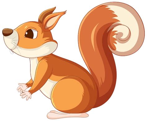 Cute Cartoon Squirrel on White Background - Free Vector Template - HD ...