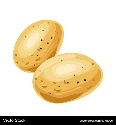 Potato cartoon vegetable drawing Royalty Free Vector Image