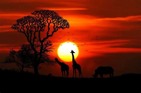 African Sunsets: 15 Countries With the MOST Beautiful Sunset in Africa