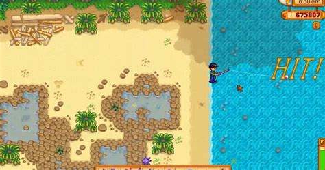 Stardew Valley Legendary Fish Guide - When And Where To Catch Them