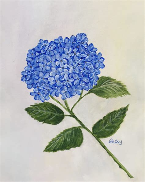 A Blue Hydrangea – Patsy Kentz Fine Art