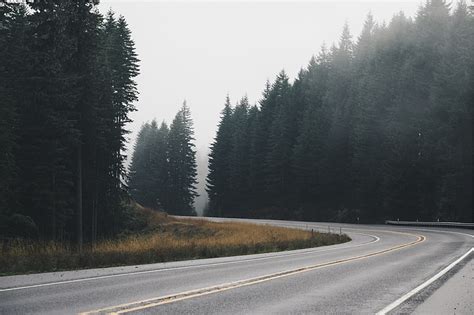 HD wallpaper: trees, nature, road | Wallpaper Flare