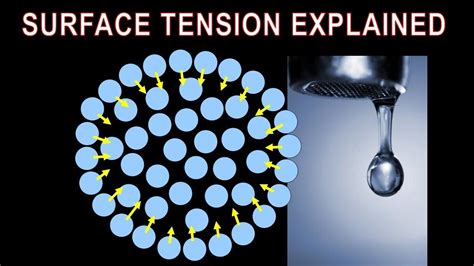 Surface Tension - What is it, how does it form, what properties does it impart - YouTube