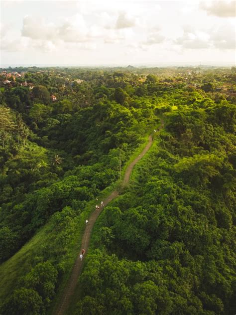 Campuhan Ridge Walk, the best hiking trail in Ubud?