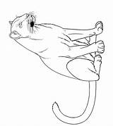 Panther Adult Coloring Pages sketch template