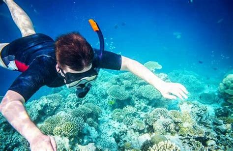 Tourvado offer only the best Phi Phi island snorkeling tours by ...